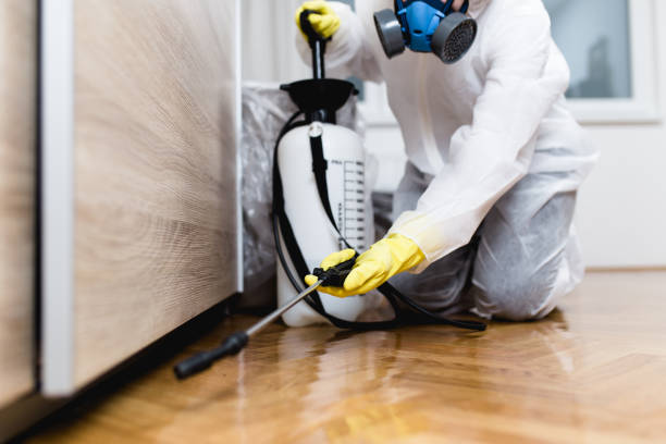 Best Affordable Pest Control Services  in Gonzales, CA