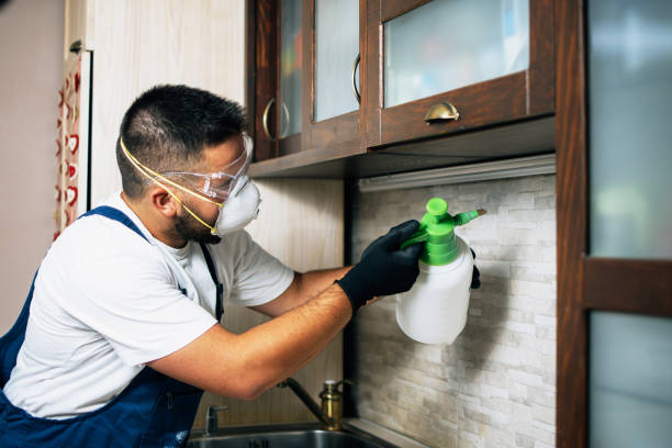 Best Bed Bug Extermination  in Gonzales, CA