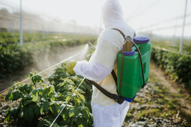 Best Exterminator Services  in Gonzales, CA